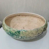 گلدان|گل و گیاه طبیعی|رشت, آزادگان|دیوار