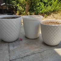 گلدان
