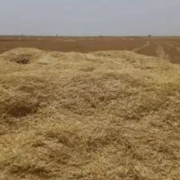 فروش کاه