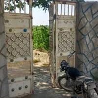 باغ انگور فرشی با دیوار قدیمی