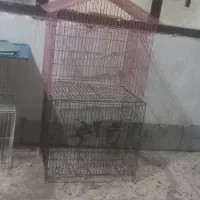 قفس کوچک سهره