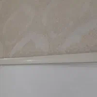 تعدادی پرده زبرا ودومکانیزه