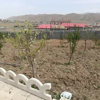 ۵قطعه ۲۵۰متری باغچه|فروش زمین و ملک کلنگی|تهران, دهقان|دیوار