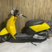 پاکشتی اسکوپی