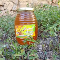 عسل طبیعی خلخال