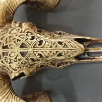 مجسمه دیوارکوب سرقوچ