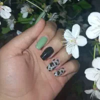 گل سفید وزیبا