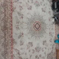 فرش ۶ متری ۵۰۰ شانه کاشان کرم