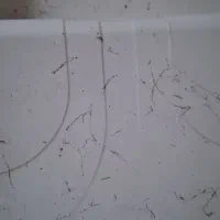 سینک گرانیت