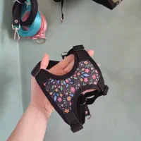 قلاده لباسی سگ
