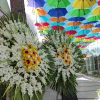 گل آرایی تخصصی برای تمام مناسبت ها