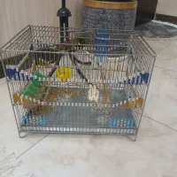 دوتا قفس مهره دار دوتا هم ساده