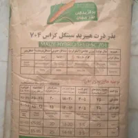 بذر ذرت 704 پارس مغان