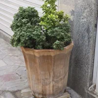 دو تا گلدان سفالی