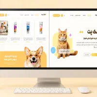 طراحی سایت حرفه ای + سئو + سازگار نت ملی