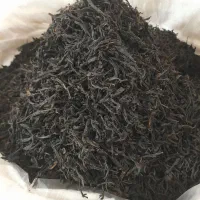 چای لاهیجان