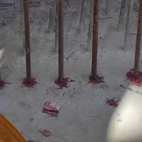 کاشت میلگرد و کرگیری