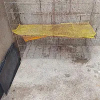 قفس پرنده