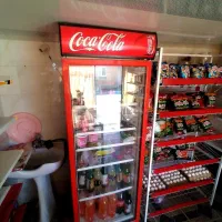یخچال ایستاده وقفسه