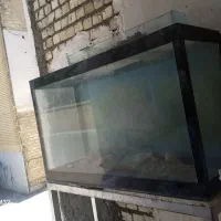 اکواریوم