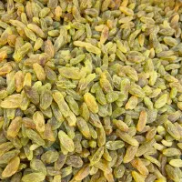 کشمش سبز درجه یک‌ خوش رنگ
