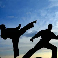 آموزش هنرهای رزمی تخصصی کاراته و دفاع شخصی