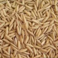 چلتوک لنجونی