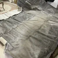 موکت|موکت|بندرعباس, |دیوار