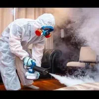 سمپاشی سوسک وساس در یک مرحله صددرصد تضمینی