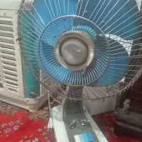 پنکه