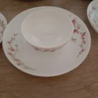 گل ریز|ظروف سرو و پذیرایی|ارومیه, |دیوار