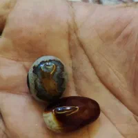 سنگ عقیق