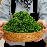 سبزی خورشتی