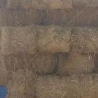 خریذ و فروش پرس گندم  و جو