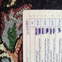 گمشده