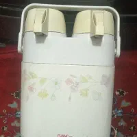 فلاکس دوقلو