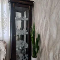بوفه یا ویترین
