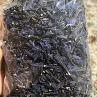 پخش چای شمال ، گل گاوزبان اعلا، گزنه ، چای سبز ،