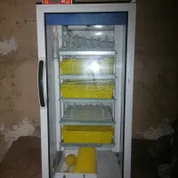 دستگاه جوجه کشی و قفس پرنده