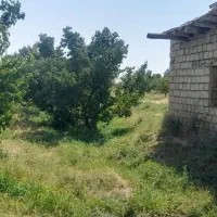 زمین-کشاورزی