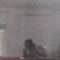 اسنوا 55اینج تاچ شکسته