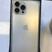13 pro max