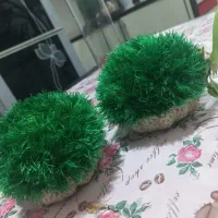 سبزه بافتنی