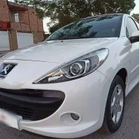 207 tu5 پاناروما کم کار خانگی