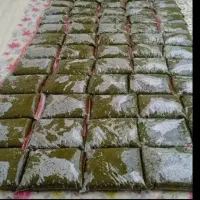سبزی خورشتی