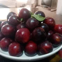 آلو شابلون ارگانیک