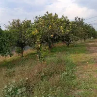 فضای مناسب جهت ماساژور