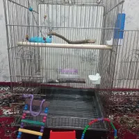 قفس پرنده