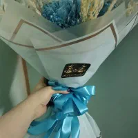 گل شاین