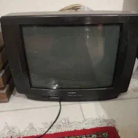 تلوزیون